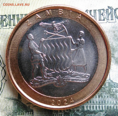 Замбия 2 квача 2024 года до 06.10.2025 - IMG_20251002_004308