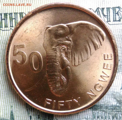 Замбия 50 нгве 2024 года до 06.10.2025 - IMG_20251002_004222