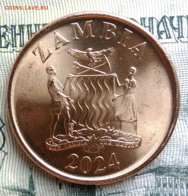 Замбия 50 нгве 2024 года до 06.10.2025 - IMG_20251002_004239
