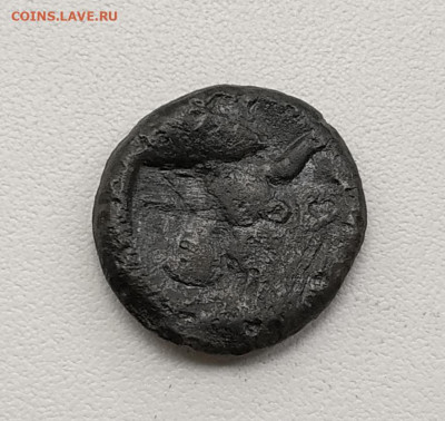 Пантикапей, лепта, Перисад II, до 5.10.2025. 22.00мск - IMG_20251001_123504