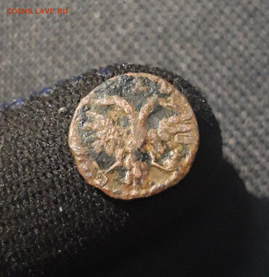 Петр I Полушка 1719 года ВРП До 08.10 - 20250621_231834