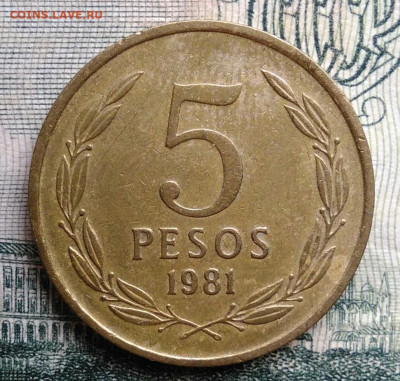 Чили 5 песо 1981 года до 06.10.2025 - IMG_20251002_212814