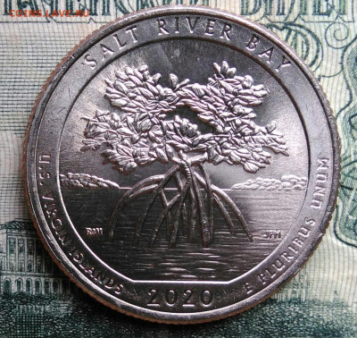 4 доллара 2020 года до 06.10.2025 - IMG_20251002_213919