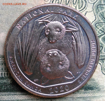 4 доллара 2020 года до 06.10.2025 - IMG_20251002_223624