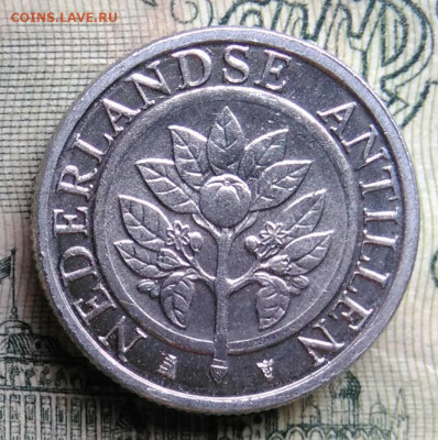 Антильские острова 5 центов 2016 года до 06.10.2025 - IMG_20251002_234306