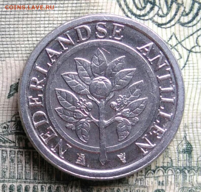 Антильские острова 1 цент 2016 года до 06.10.2025 - IMG_20251002_234230