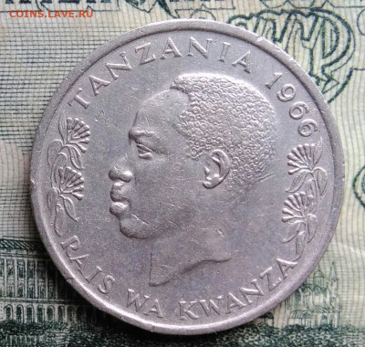 Танзания 50 сенти 1966 года до 06.10.2025 - IMG_20251002_234155