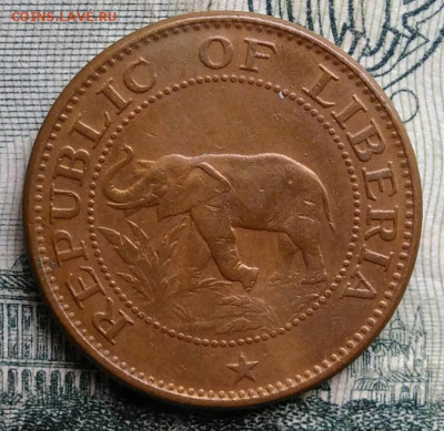 Либерия 1 цент 1961 года до 06.10.2025 - IMG_20251002_223713