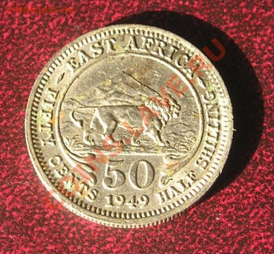 Британская Восточная Африка, Пол Шиллинга 1949 (22.02) - P1010158