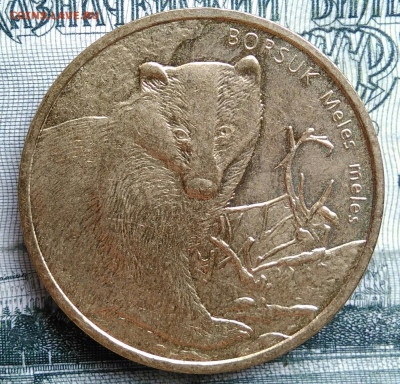 Польша 2 злотых 2011 года до 06.10.2025 - IMG_20250930_182408