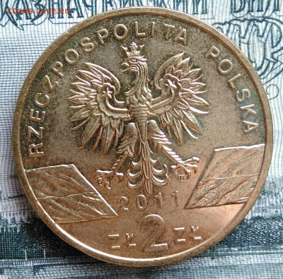 Польша 2 злотых 2011 года до 06.10.2025 - IMG_20250930_182423