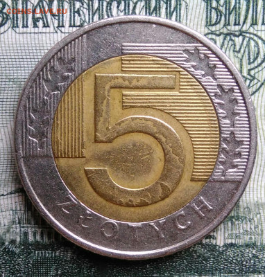 Польша 5 злотых 2009 года до 06.10.2025 - IMG_20250930_213637