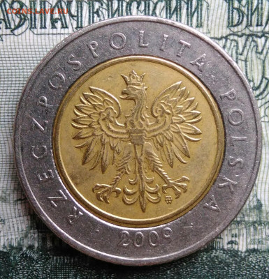 Польша 5 злотых 2009 года до 06.10.2025 - IMG_20250930_213652