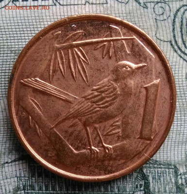 Каймановы острова 1 цент 2002 года до 06.10.2025 - IMG_20251001_233346