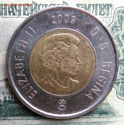Канада 2 доллара 2009 года до 06.10.2025 - IMG_20251002_223931