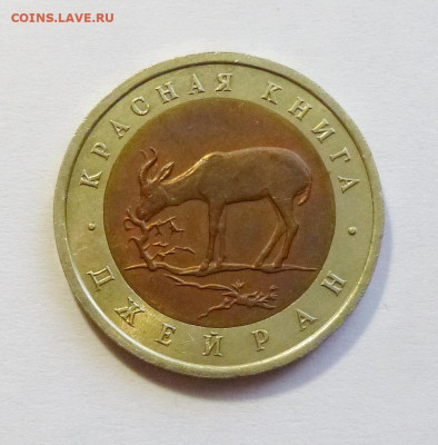 до 22-00мск 07.10.25 - P1150158.JPG