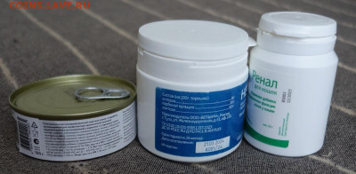 Вниманию кошатников из Питера до 10.10.25 - нефра13