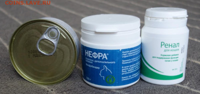 Вниманию кошатников из Питера до 10.10.25 - нефра12