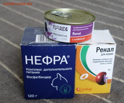 Вниманию кошатников из Питера до 10.10.25 - нефра11