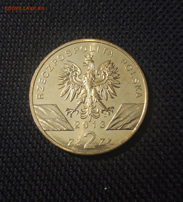Польша 2 злотых 2013 года Зубр До 10.10 - 20250227_180924
