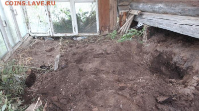 "Сокровища" одного старого огорода - теплица2