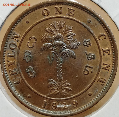 Британский Цейлон 1 пенни 1929 до 07.10 - IMG_20250928_102103_264