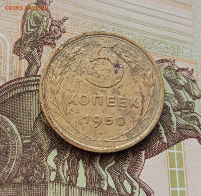 5 копеек 1950. До 08.10.25 в 22.00 - IMG_20251004_214731