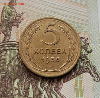 5 копеек 1956. До 08.10.25 в 22.00 - IMG_20251004_214926