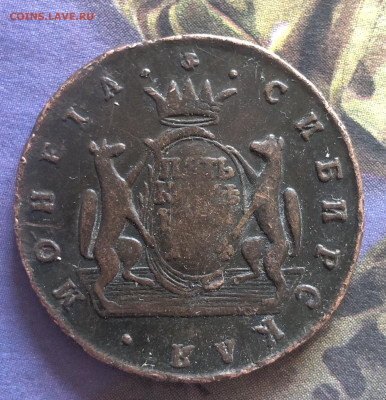 5к 1774г Сибирские бюджетные 10.10.25 22.00МСК. - IMG_6694