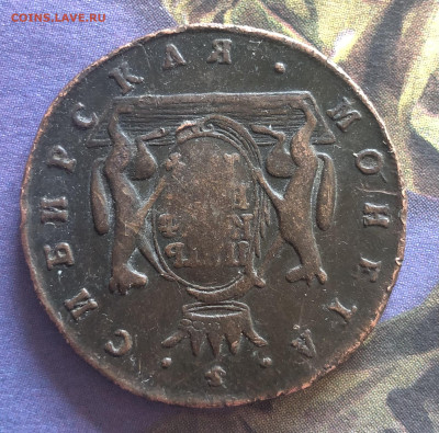 5к 1774г Сибирские бюджетные 10.10.25 22.00МСК. - IMG_6695