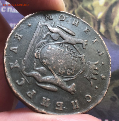 5к 1774г Сибирские бюджетные 10.10.25 22.00МСК. - IMG_6696