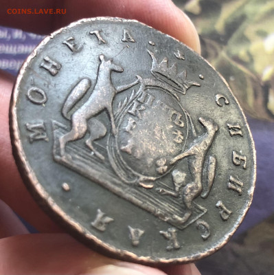 5к 1774г Сибирские бюджетные 10.10.25 22.00МСК. - IMG_6697