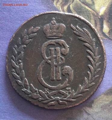 5к 1774г Сибирские бюджетные 10.10.25 22.00МСК. - IMG_6699