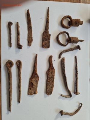 много копанины. до 08.10. - 20231104_125937