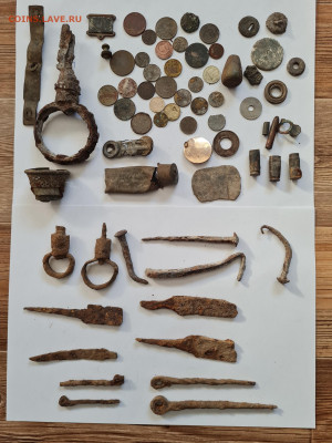 много копанины. до 08.10. - 20231104_125914