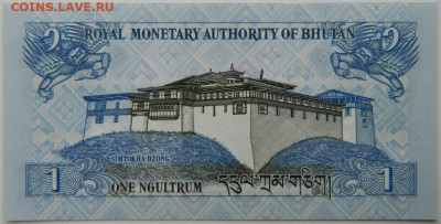Королевство Бутан 1 нгултрум 2013 г. до 11.10.25 - DSCN7858.JPG