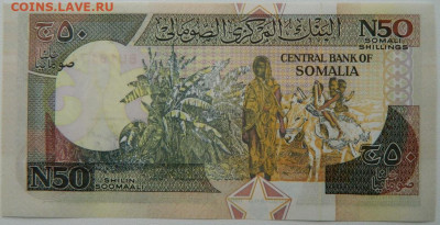 Сомали 50 шиллингов 1991 г. до 12.10.25 - DSCN7866.JPG