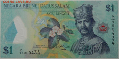 Бруней 1 доллар 2019 г. (Полимер) до 12.10.25 - DSCN7907.JPG