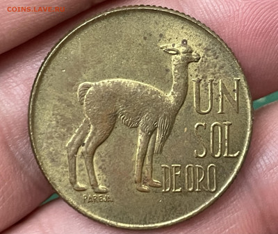 Перу 1 соль, 1871 года. До 9.10. - IMG_5907