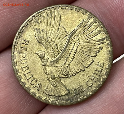 10 сентесимо 1965 года. Чили. До 9.10. - IMG_5909