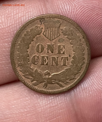 США 1 цент 1907 года. До 9.10 - IMG_5917