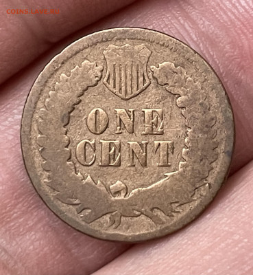 США 1 цент 1898 года, до 9.10 - IMG_5920