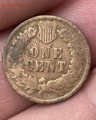 США 1 цент 1900 года. До 9.10 - IMG_5923