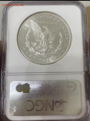 1 $ Морганы 1878-1884 гг , памятные халфы США в слабах NGC - IMG_9404