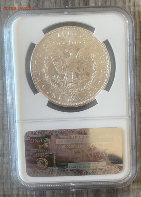 1 $ Морганы 1878-1884 гг , памятные халфы США в слабах NGC - IMG_8830