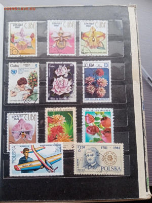 Марки много по 5р шт до 13.10.25 в 22:00 по мск - IMG_20251007_131938