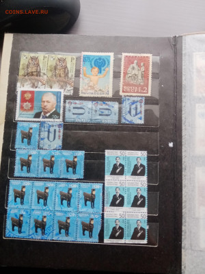 Марки много по 5р шт до 13.10.25 в 22:00 по мск - IMG_20251007_131932