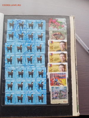 Марки много по 5р шт до 13.10.25 в 22:00 по мск - IMG_20251007_131923