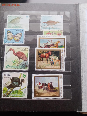 Марки много по 5р шт до 13.10.25 в 22:00 по мск - IMG_20251007_131918