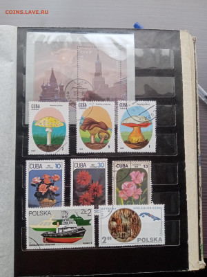 Марки много по 5р шт до 13.10.25 в 22:00 по мск - IMG_20251007_131830